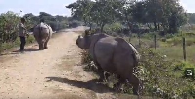 चितवनबाट कोशी टप्पु पुगेका पुष्पा र अञ्जली हात्ती र कर्मचारीसँगै रमाउँछन्